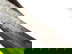 item-205503932=8