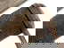 item-205503933=11