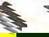 item-205503933=12