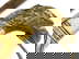 item-205503940=15
