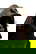 item-205503967=11