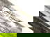 item-205504059=13