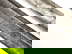 item-205504059=19
