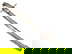 item-205504059=1