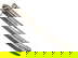 item-205504059=3