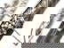 item-205504059=7