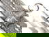 item-205504181=13