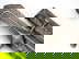 item-205504181=1