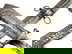 item-205504181=8