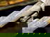 item-205504186=15