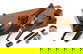 item-205504187=3