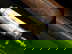 item-205504187=8