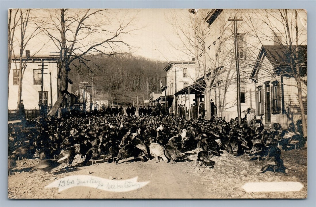 STREET SCENE w/ TURKEYS 1910 ANTIQUE REAL PHOTO POSTCARD RPPC: STREET SCENE w/ TURKEYS 1910 ANTIQUE REAL PHOTO POSTCARD RPPC
