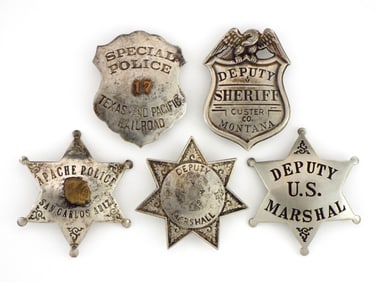 Lot of 5 Law Enforcement Badges