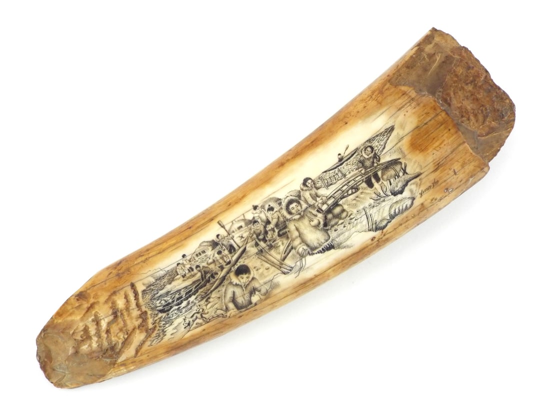 Very Fine Alaskan Scrimshaw Art on FOSSILIZED Background (1 of 12)