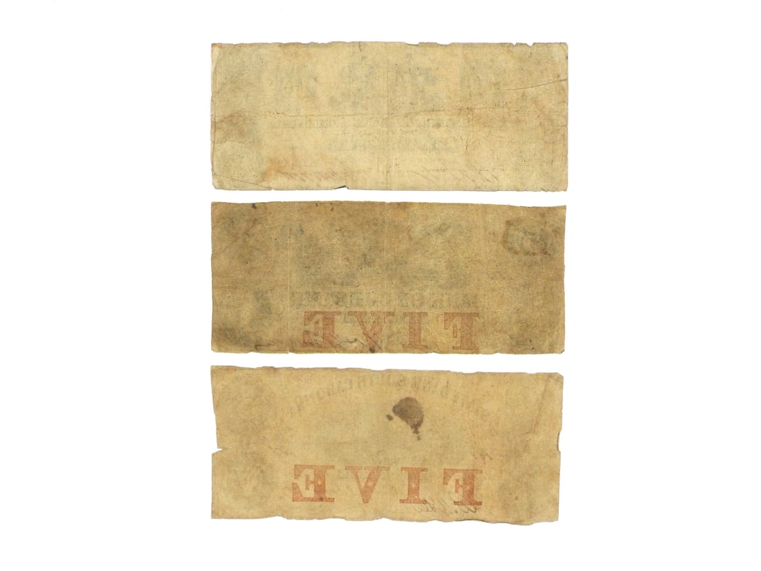 Three Confederate S.C. Notes - 2