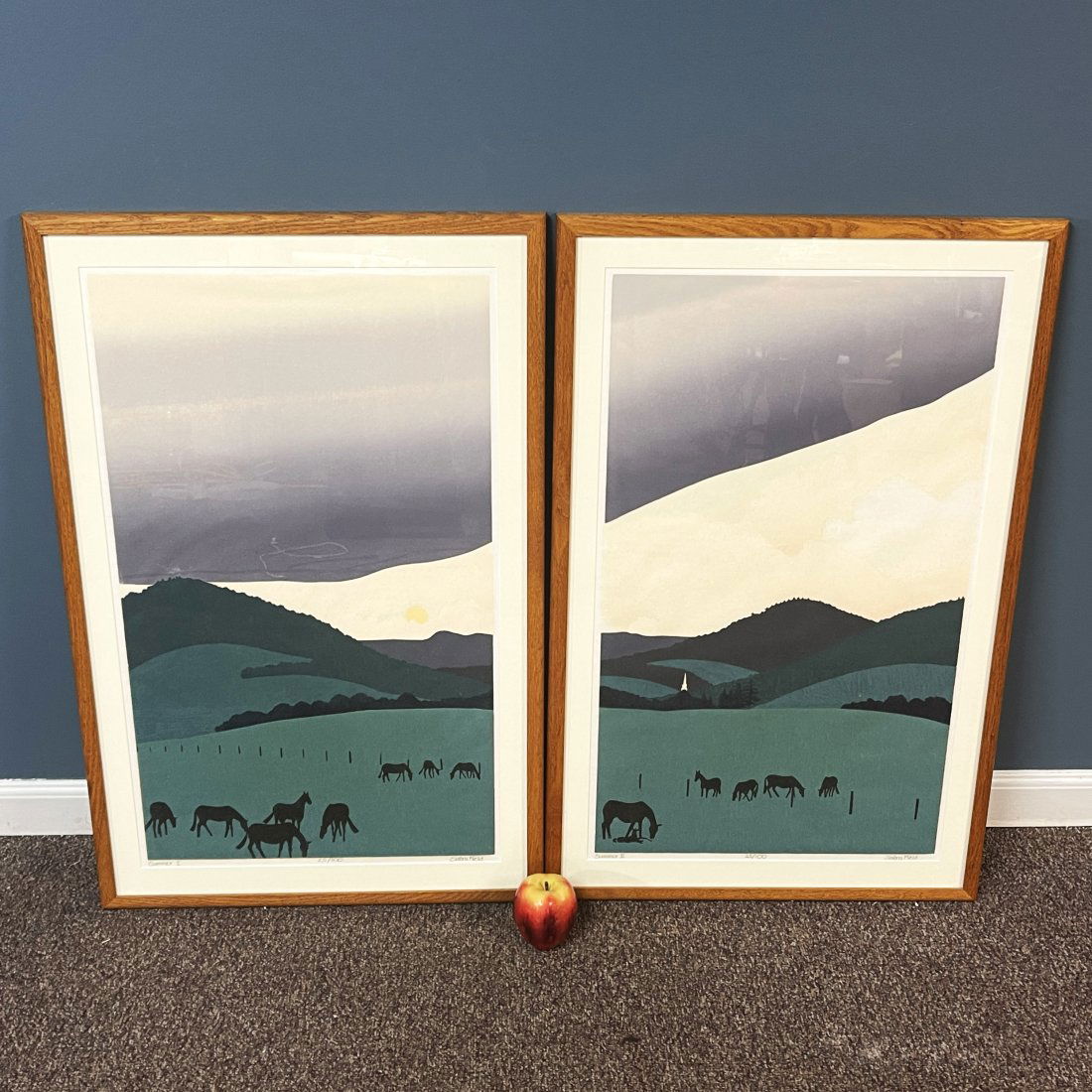 Sabra Field "Summer 1" and "Summer 2" (1 of 9)