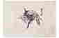 item-131603176=1
