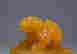 item-131603322=6