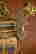 item-131603332=12