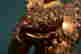item-131603472=8