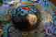 item-131603504=14