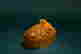 item-131603523=3