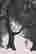 item-131603611=2