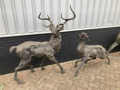 A stellar lifesize bronze garden statues, a buck and roe de: A stellar lifesize bronze garden statues, a buck and roe deer, 20th century.resp. H.: 163 cm., en 112 cm.