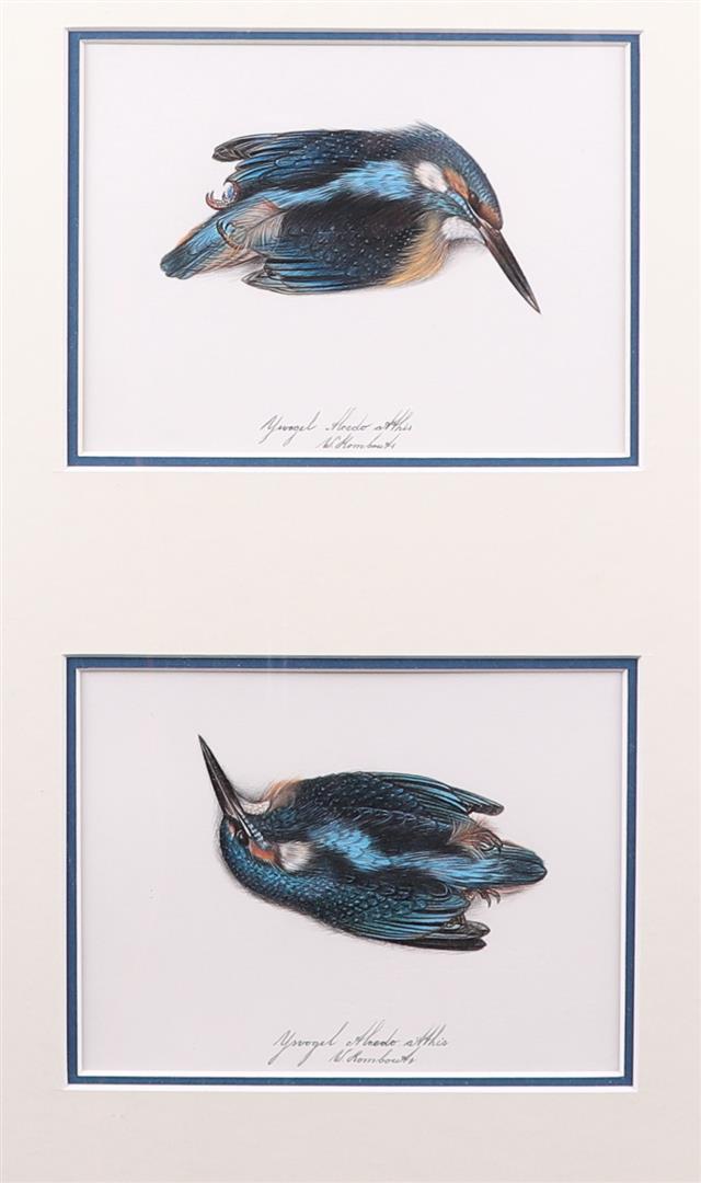Wim Rombouts (b.: Oud Gastel 1942), Kingfisher (2x' (1 of 4)