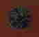 item-136447350=6