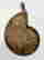 item-131442996=2