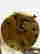 item-131443075=2