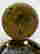 item-131443176=2