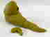 item-137121519=5