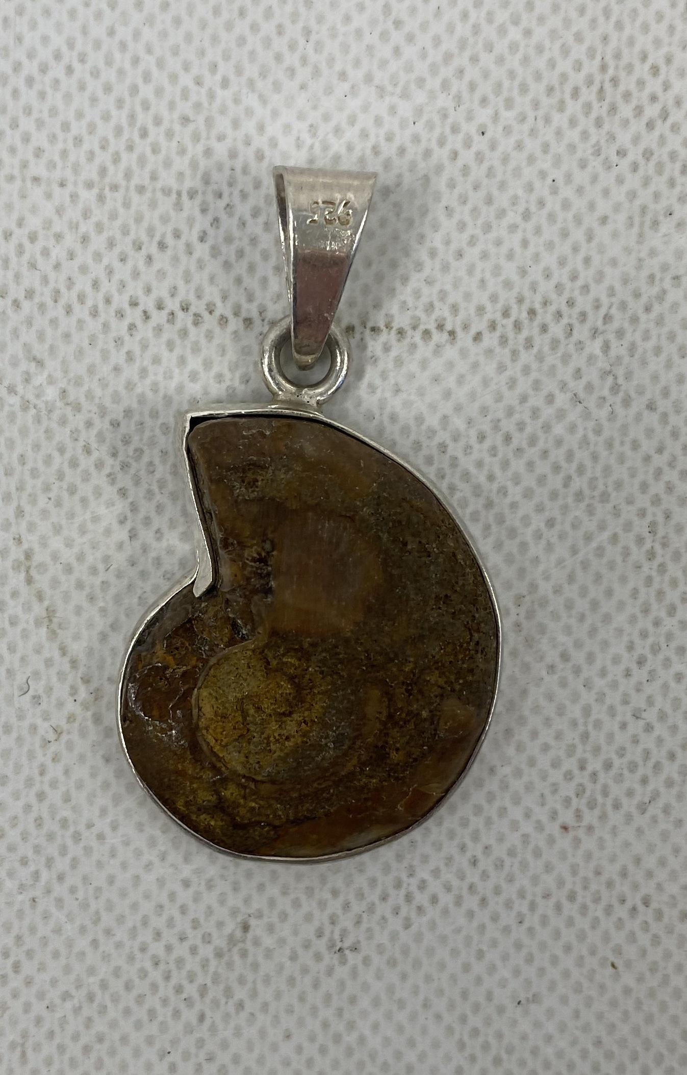 VINTAGE STERLING SILVER FOSSIL PENDANT BROWN STONE (1 of 3)
