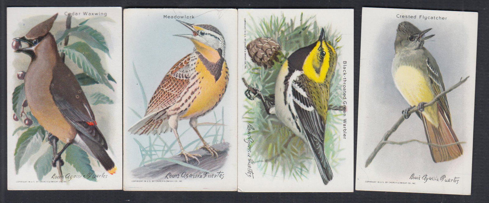 1940'S CHURCH & DWIGHT USEFUL BIRDS OF AMERICA CARD FULL SET 15/15 (1 of 3)