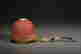 item-131020917=5