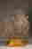 item-131020930=16