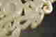 item-131020934=10