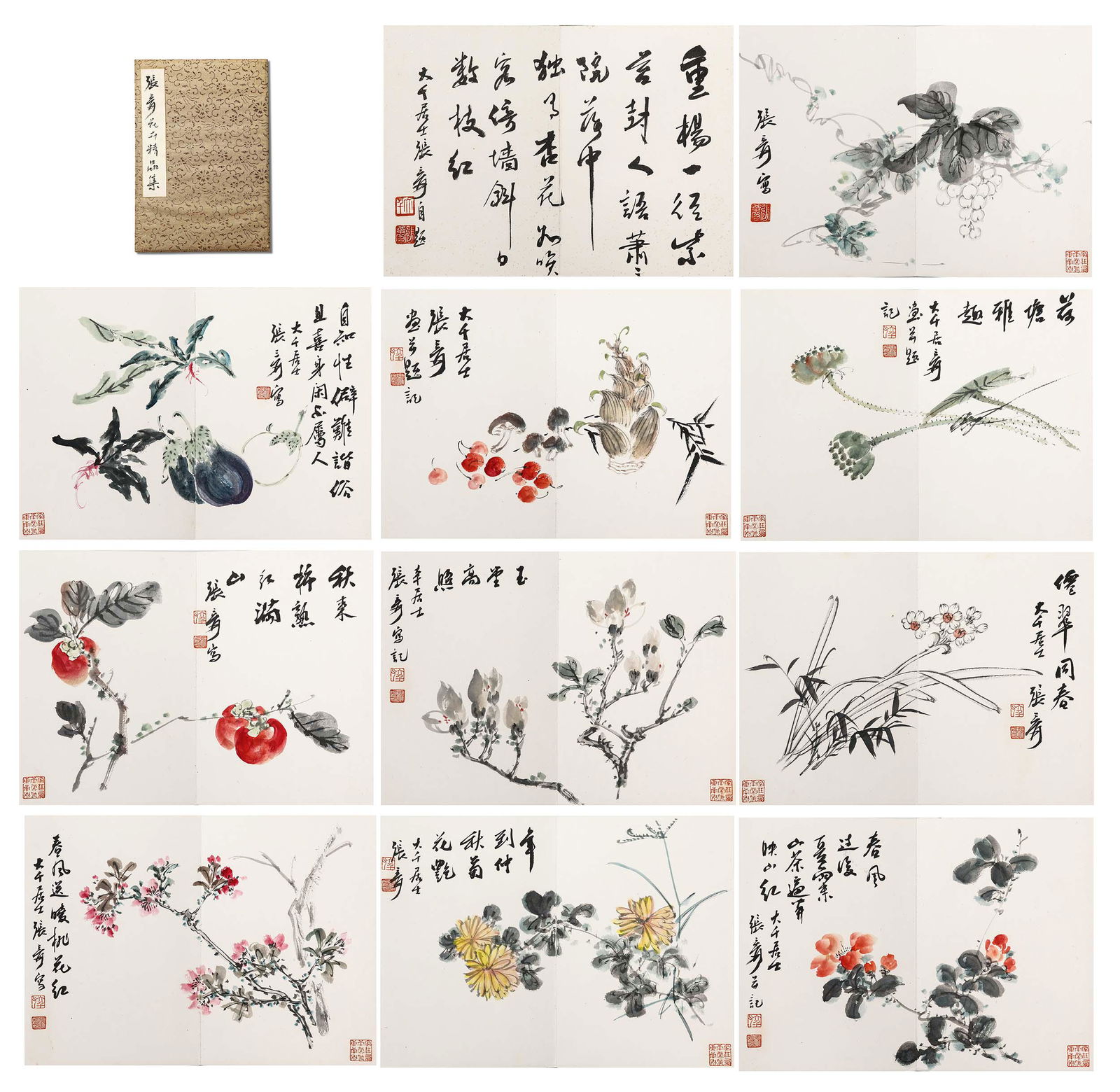 Chinese Ink Painting,Zhang Qing Flower s Album s: Chinese Ink Painting,Zhang Qing Flower s Album s
