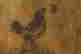 item-133870328=10