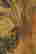 item-133870328=12