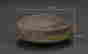 item-133870550=2