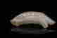 item-127621225=2