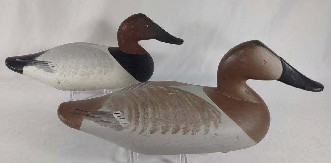 Pair of Charlie Bryan Canvasback Duck Decoys: Identified and appraised by Henry A. Fleckenstein at the Ward Foundation Museum in 1993. Carver Charles Bryan. Pair of canvasback drake and hen carved decoys. No signatures. Still has weights and tie