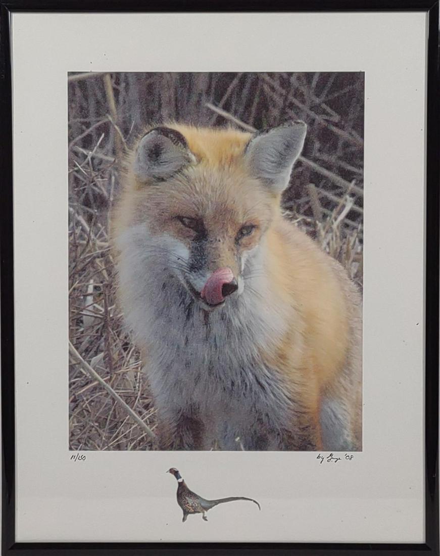Artist Signed & Numbered Red Fox Photograph Print (1 of 6)