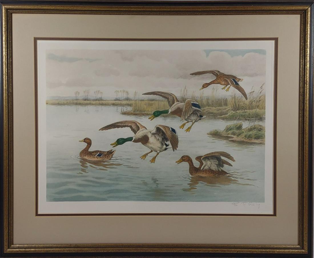 Artist Signed Mallard Duck Lithograph Artwork (1 of 8)