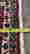 item-134221431=6