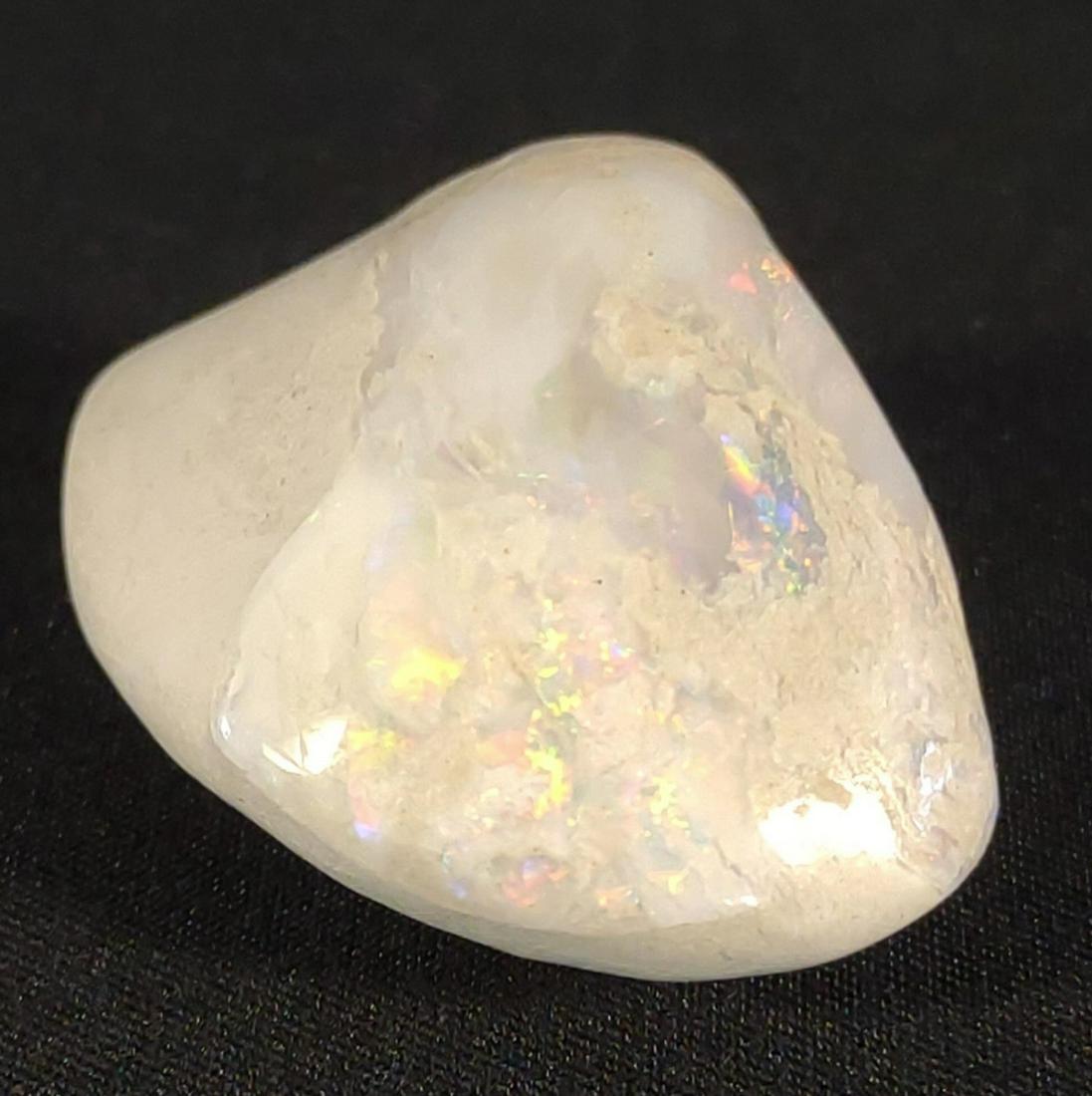 Opalized Clam Shell Fossil: 26mm x 35mm x 17mm. 11.73 grams total weight. Fossilized opal within clam shell.